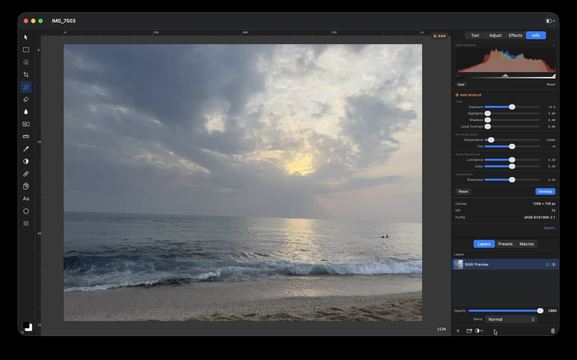 Pictureforge RAW develop and adjustment layers