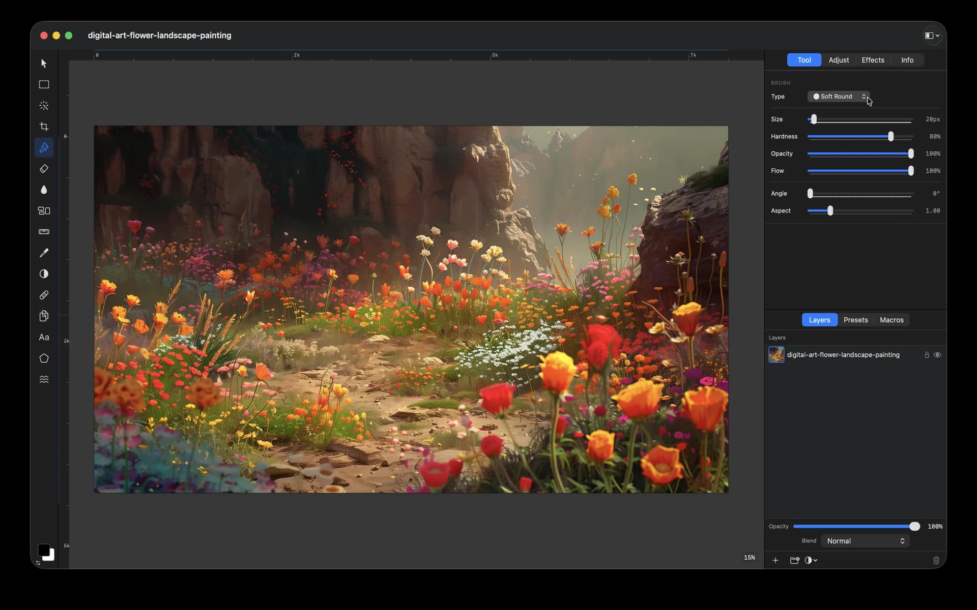 Pictureforge export options including PSD