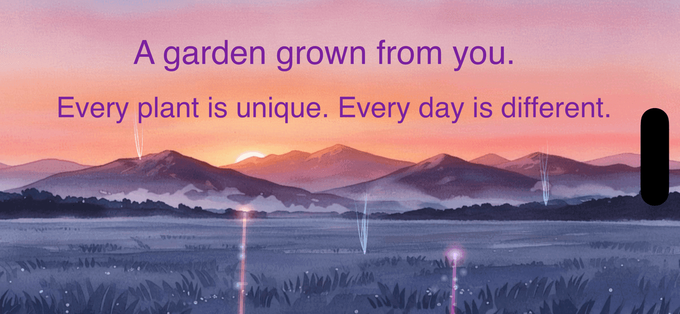 Stillgrow — garden at golden-hour lighting showing multiple plants grown over weeks