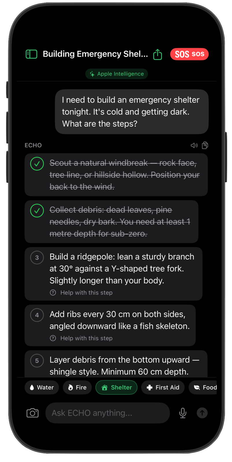 ECHO Survival AI offline privacy architecture